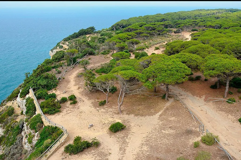Canos Costa Apartments Barbate